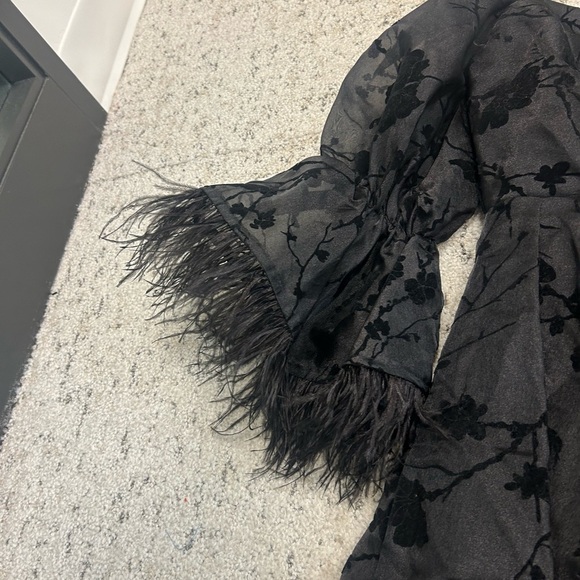 Vintage L ultra sheer/feather vintage dress in excellent vintage condition. - Picture 8 of 16